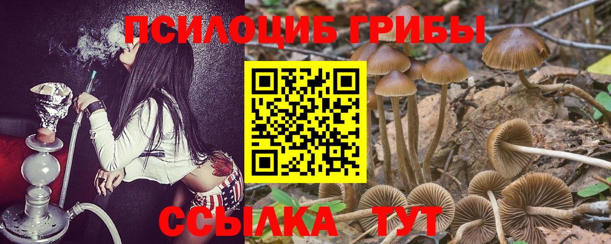 Галлюциногенные грибы ЛСД Шали