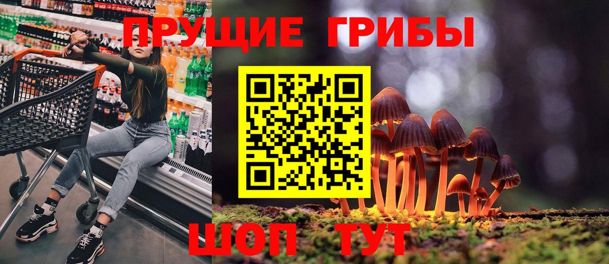 Шали  Галлюциногенные грибы Cubensis  Вход с VPN  Псилоцибиновые грибы мухоморы 